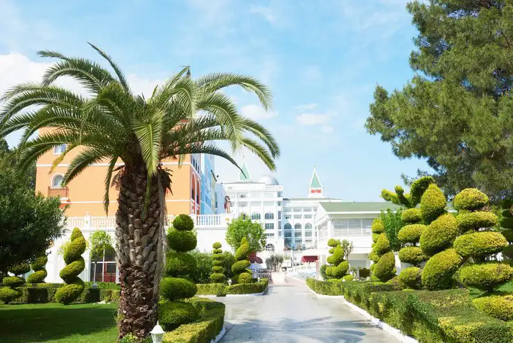 شركات لاند سكيب بالاسكندرية