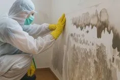 طرق ازالة الرطوبة من المنزل
